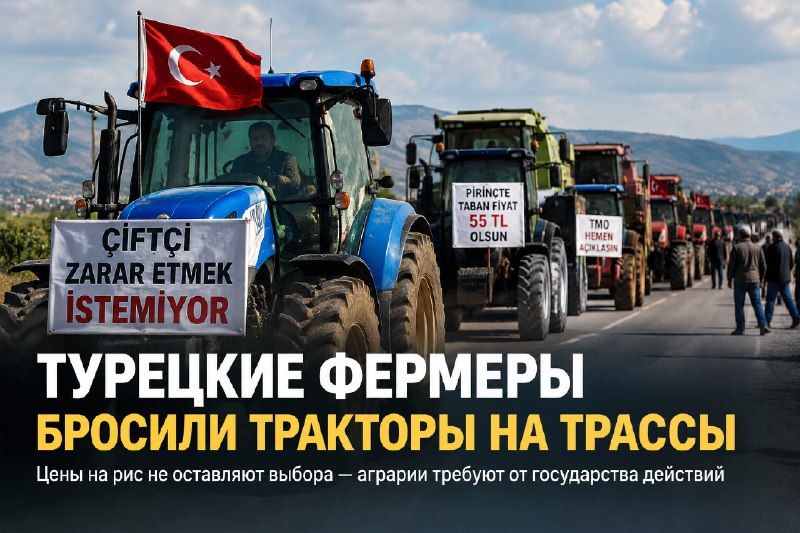 Турецкие фермеры бунтуют: требуют цену на рис